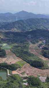 竖屏航拍丘陵山川稻田梯田风光