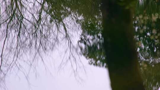 小溪流水倒影特写风景视频素材