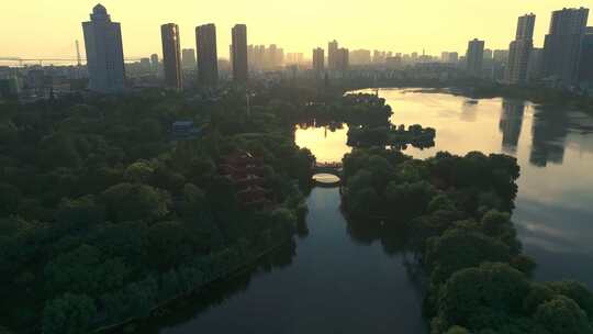 湖北荆州城市湿地逆光4K航拍