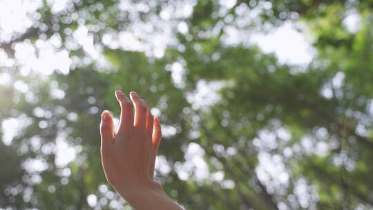 女性温柔的手在空中伸向阳光自由