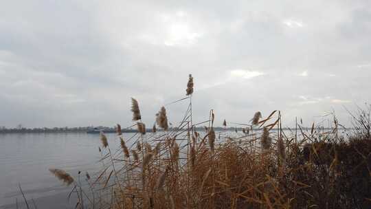 湖岸上空的云