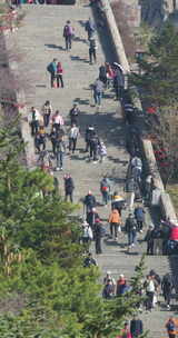 泰安泰山山顶风景