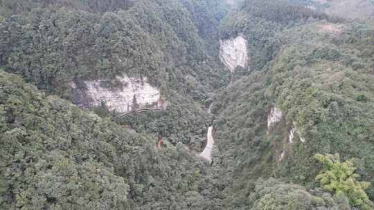 茂密山林间蜿蜒道路的壮观景象