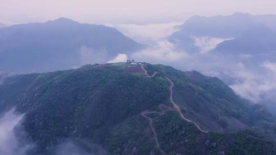 镇安海棠山