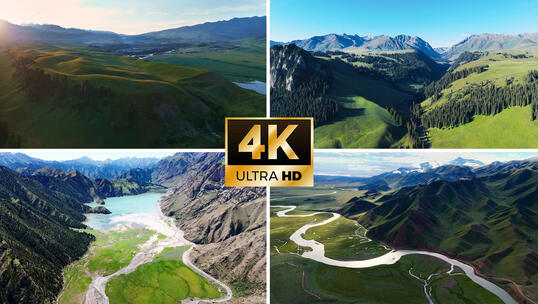 4K新疆 新疆草原 草原风光牛羊森林河流