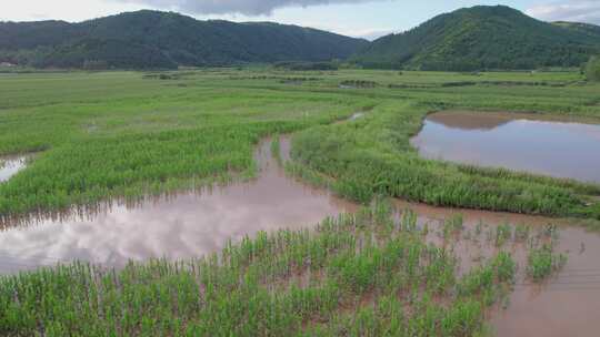 4k航拍雨后被淹的农田