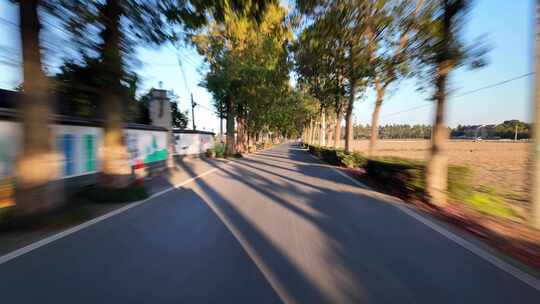 开车经过乡村道路夕阳光