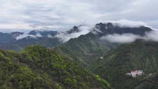 黄山茶山云雾黄山猴坑村风貌