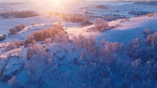 冬季乌兰布统绝美雾凇雪林雪景