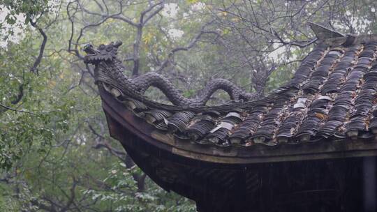 雨中屋脊龙雕塑