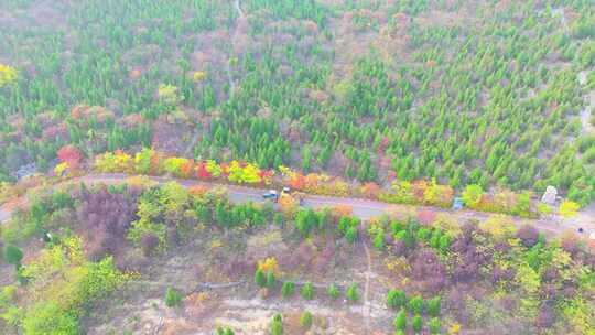 航拍枣庄市中永安乡牛郎山红叶谷