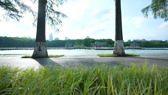 武汉东湖风景区碧潭观鱼