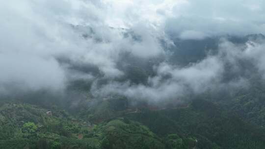 航拍云雾缭绕的大山高空固定镜头广西圣堂山