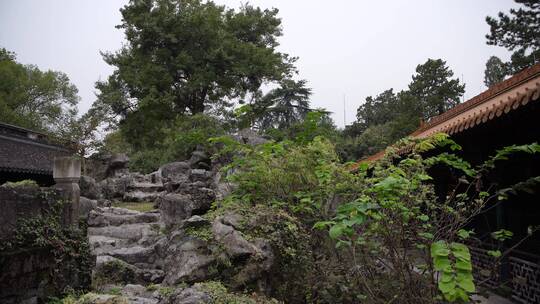 杭州西湖景区文澜阁风景