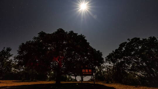 广西天龙顶许愿树流星雨星空月亮星芒