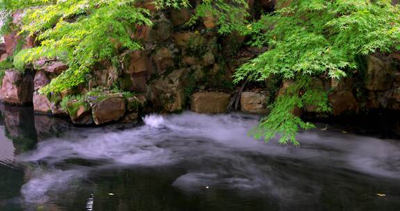 江南园林景观喷雾 枫叶 流水 仙气袅袅