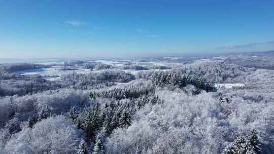 冰雪森林视频素材模板下载