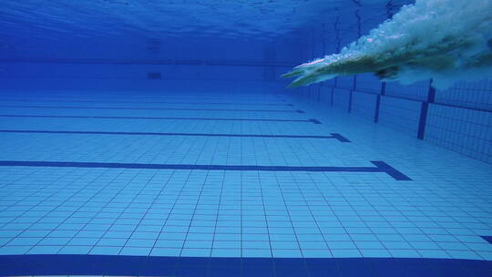 游泳健将入水视频素材模板下载