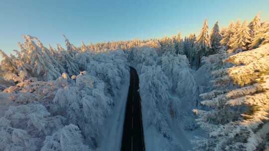 冬季森林FPV穿越机航拍