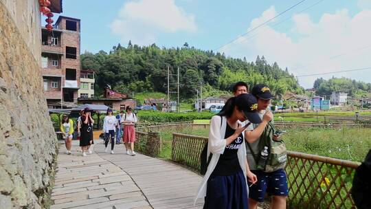 乡村振兴旅游团观光