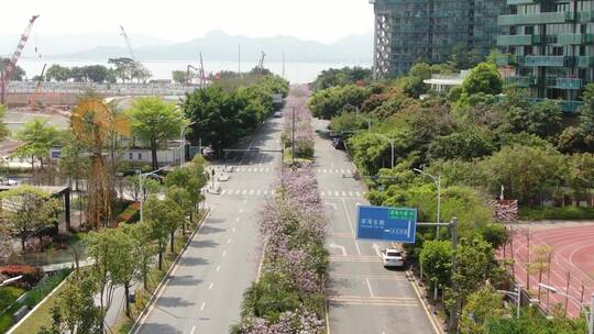 航拍 深圳 城市 大道 交通