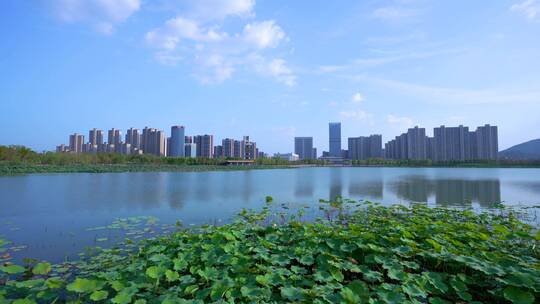 武汉江夏中央大公园风光4K视频合集视频素材模板下载