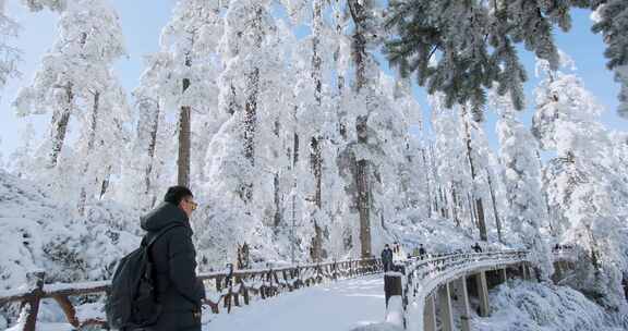 高清实拍瓦屋山冬天雪景雪山森林