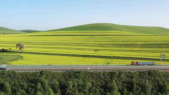 【航拍】草原风景 坝上草原