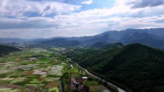 乡村绿色稻田航拍选编