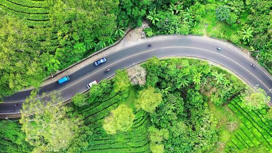 4K-林间道路上行驶的汽车