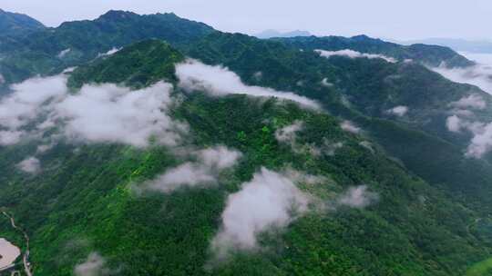 航拍森林云雾云海 秦岭山脉