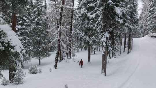 航拍男人走在新疆纳斯大雪覆盖的森林中合集
