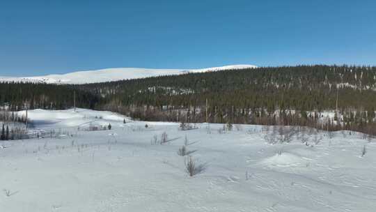 积雪覆盖的地面