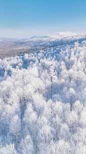 4K竖屏航拍林海雪原雪森林雾凇-3