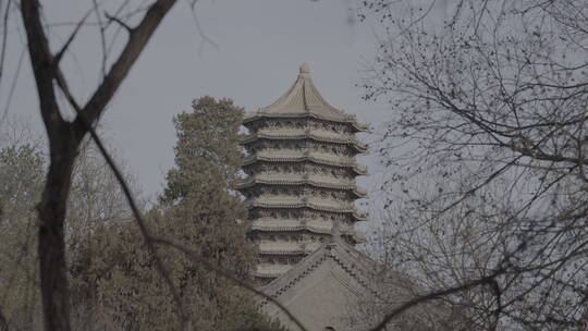 北京大学-博雅塔视频素材模板下载