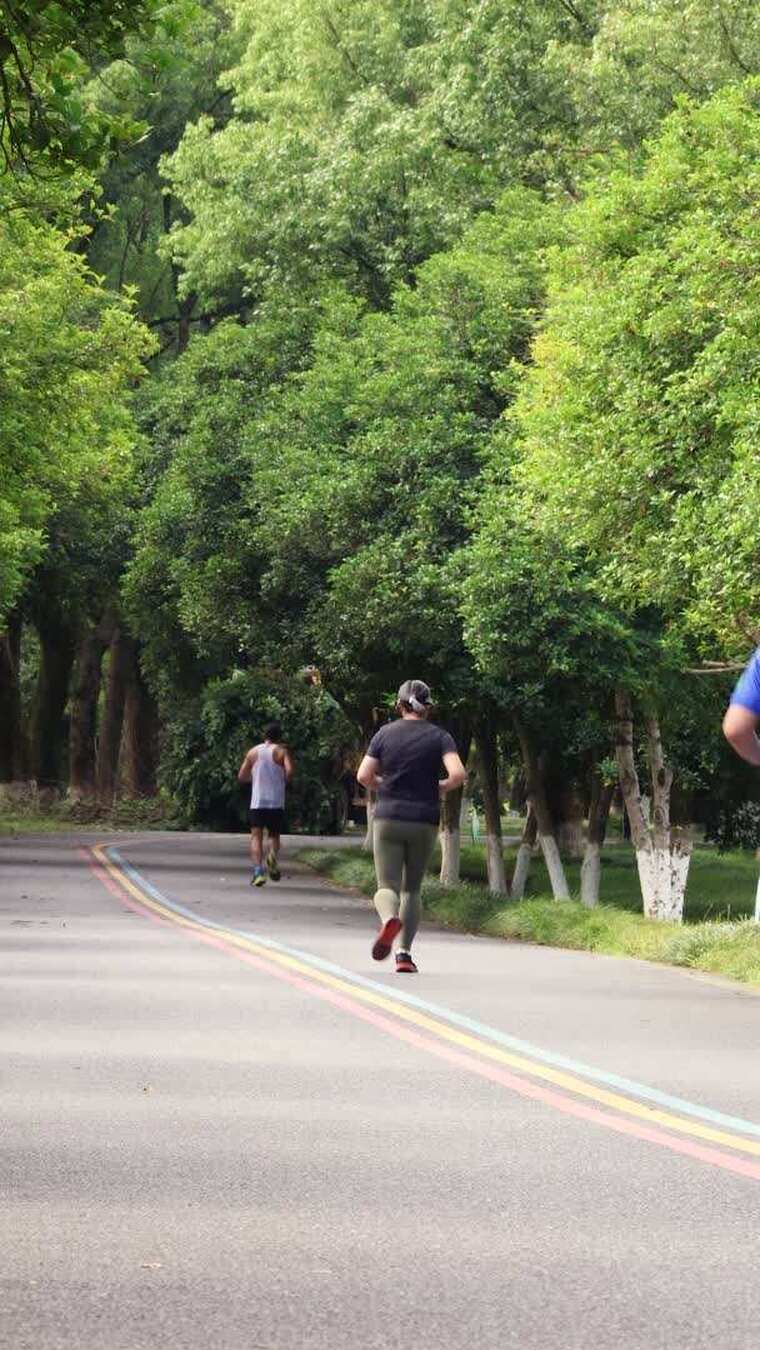 公园里晨跑锻炼的人