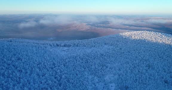 航拍大兴安岭极寒时节林海雪原晨雾