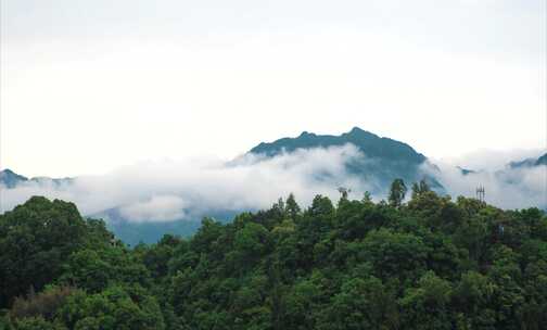 4k延时山峦云雾