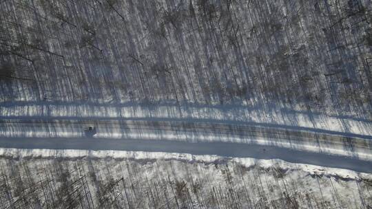 大片白桦林雪景航拍