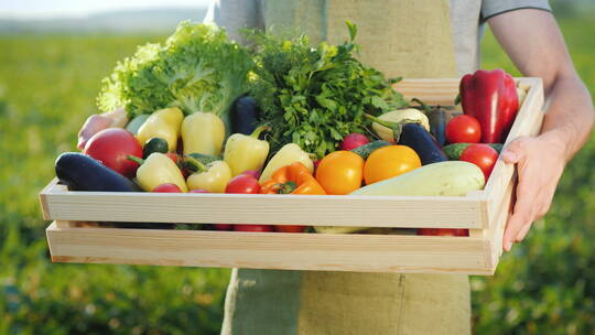 农民拿着一个装满新鲜蔬菜的盒子
