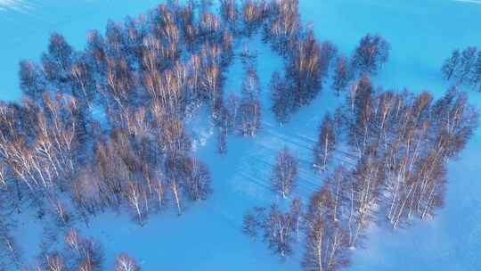 银色雪原冰雪白桦林