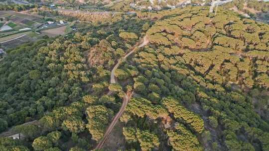 穿过公路的山路通向卡莱拉镇，鸟瞰马雷