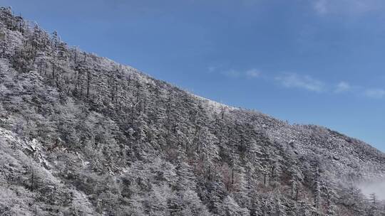 秦岭朱雀国家森林公园（冰晶顶）雪景航拍