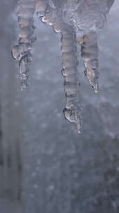 春天自然冰冻滴水冰雪融化