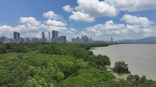 4K深圳福田区红树林