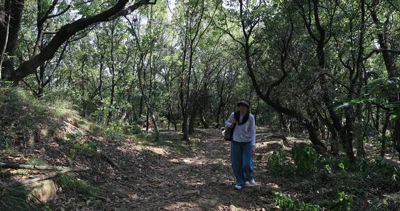 阳光森林背包徒步旅行的年轻亚洲女人