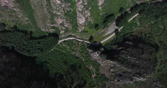 森林 大自然 天然氧吧