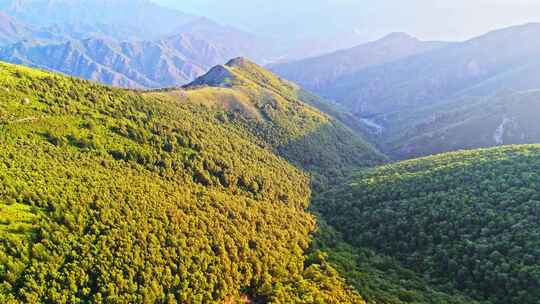 夏季高山草甸绿色森林牧场夕阳航拍