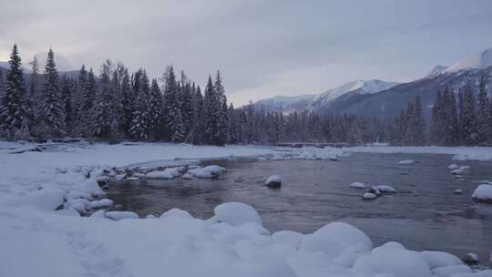 清晨的新疆喀纳斯河雪景