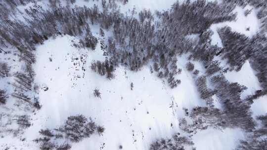 航拍新疆冬季喀纳斯湖雪景雪山森林冰河晨雾